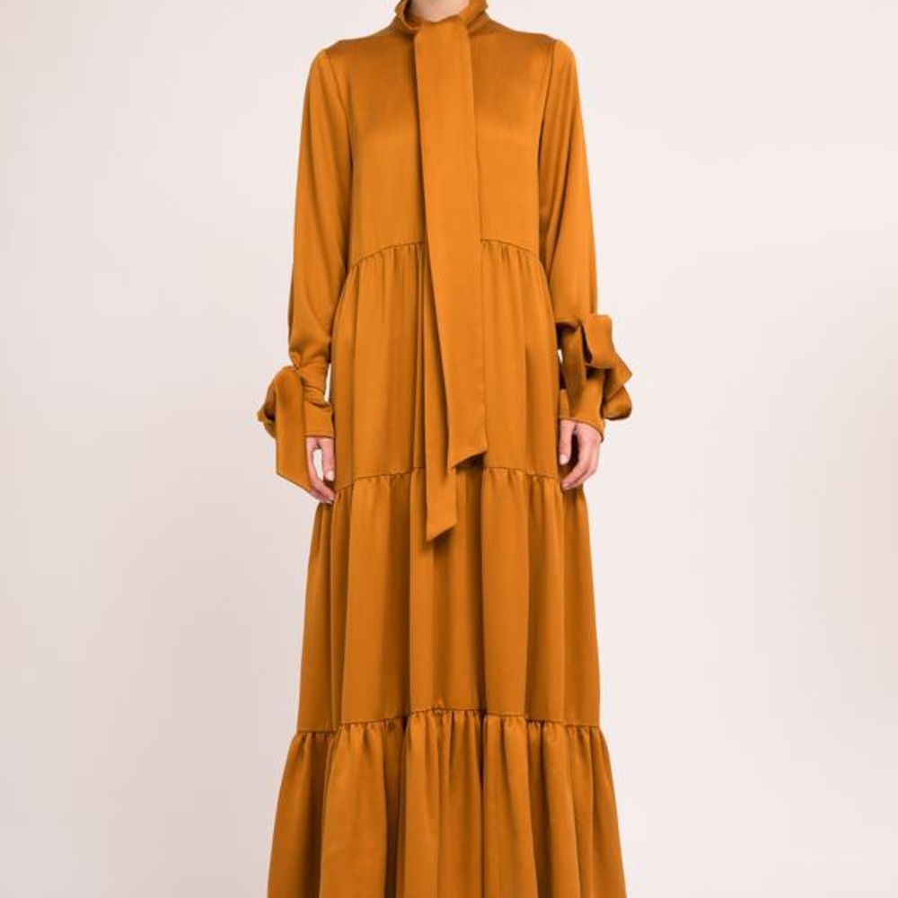 Elegant Long-Sleeve Maxi Dress with Tie Neck in Burnt Orange - Picture 4 of 4